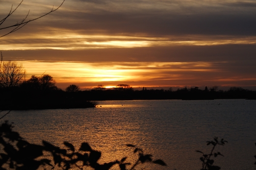Godmanchester Nature Reserve
