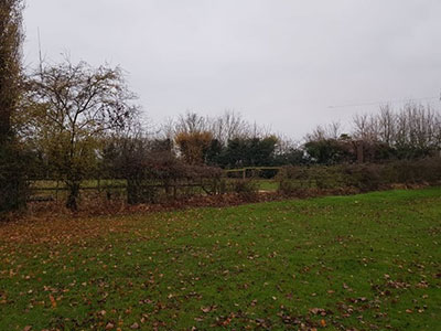 horse field Wimblington