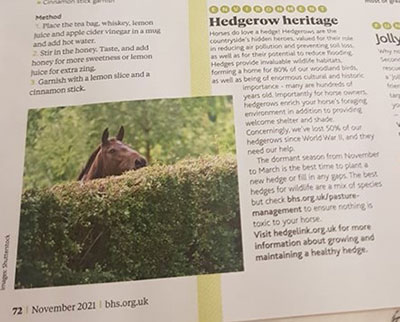 British Horse magazine