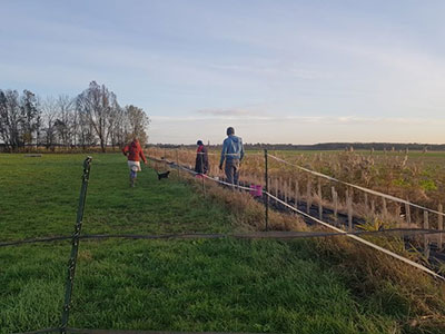 new hedgerow being established