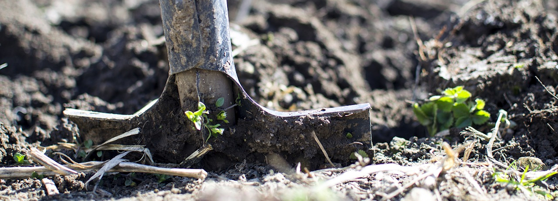 Digging - Lukas (image from Pixabay)