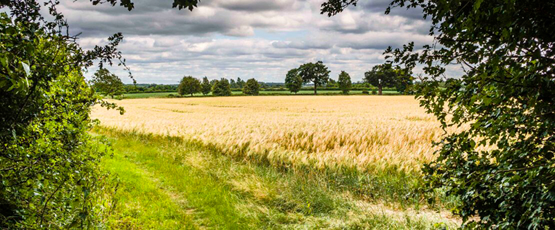 Chris Howe, CPRE Hertfordshire