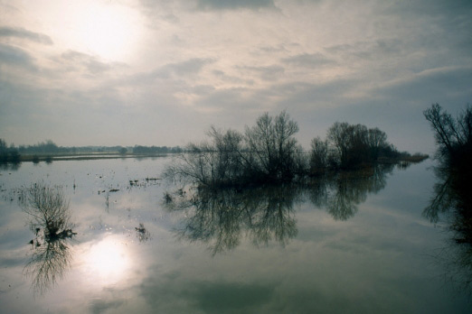 Ouse Washes Cambridgeshire